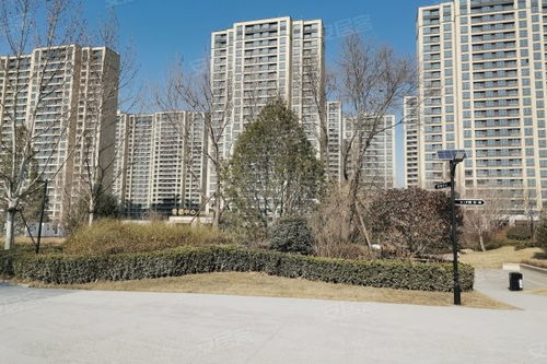 中新國際城綜合評測 優點、不足、周邊中介及物業管理分析